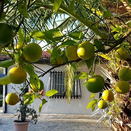L'aranceto Incantato Fondi